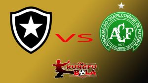 botafogo vs chapecoense