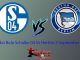 Schalke 04 Vs hertha Berlin