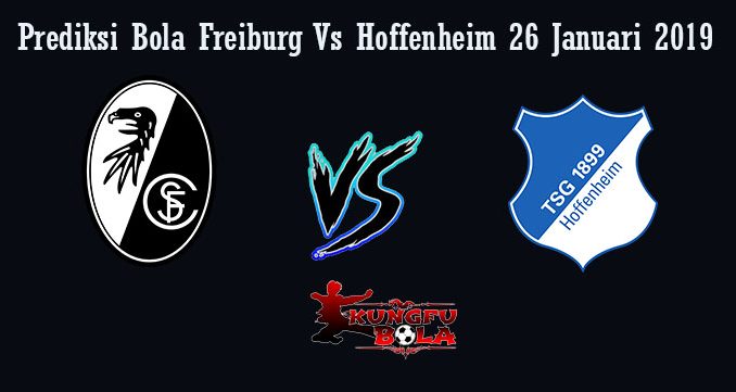 Prediksi Bola Freiburg Vs Hoffenheim 26 Januari 2019